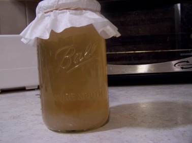 Water kefir. The "grains" are sitting at the bottom of the jar full of sugar water.